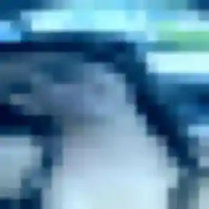 Isabelle, 44 ans, dispo pour plan cul à Adé