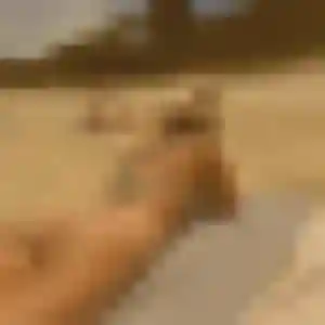 Photo perso de Dorothee, 38 ans à Aigurande - rencontre coquine