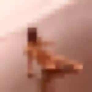 Photo sexy de Emmanuelle, 38 ans à Aix-en-Pévèle - rencontre coquine