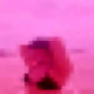 Jolie Nina, 37 ans à Ambleteuse - découvrir son profil