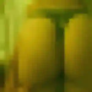 Romane, 43 ans, cherche un plan cul à Ampuis