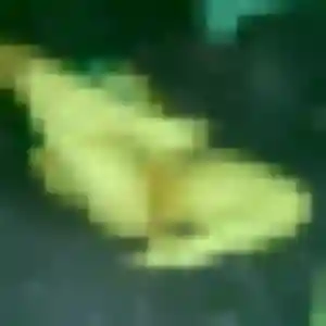 Sexy Jocelyne, 26 ans à Aniche - voir sa photo