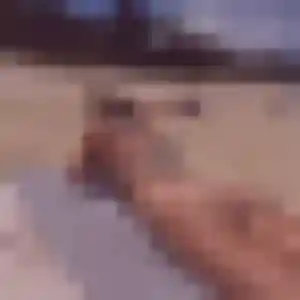 Sexy Rym, 28 ans à Anvin - découvrir son profil