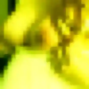 Rencontre Rachel, 25 ans à Aressy en t'inscrivant