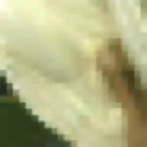 Belle Typhaine, 22 ans à Arnas - voir sa photo