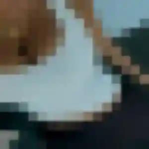 Photo exclusive de Luna, 22 ans à Aubord - rencontre sans lendemain