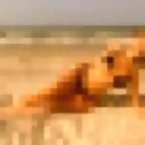 Photo sexy de Joana, 36 ans à Auchay-sur-Vendée - plan discret