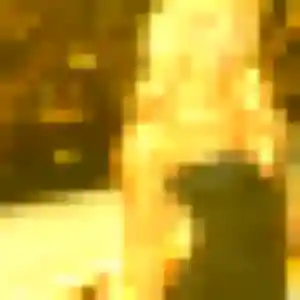 Photo perso de Paloma, 39 ans à Aulnat - plan discret