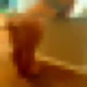 Inaya, 27 ans, disponible à Aureilhan pour une rencontre coquine