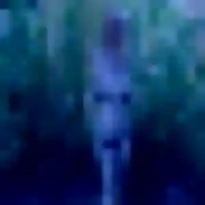 Profil de Florence à Avermes (41 ans) - plan cul anonyme