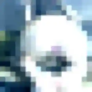 Photo de Bernadette à Avion (33 ans) - plan cul discret