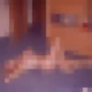 plan cul à Aytré : photo de Ambre, 22 ans - accès libre