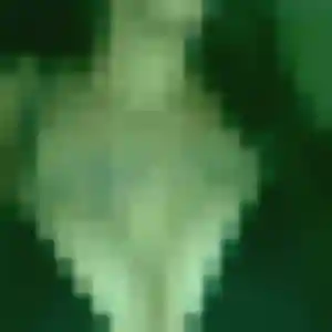 Photo de Lily à Azé (33 ans) - plan cul sans inscription