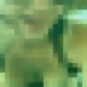 Photo de Romina à Bachant (42 ans) - plan cul gratuit