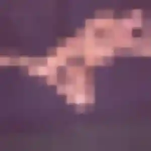 Rencontre Marine, 23 ans à Baden en privé