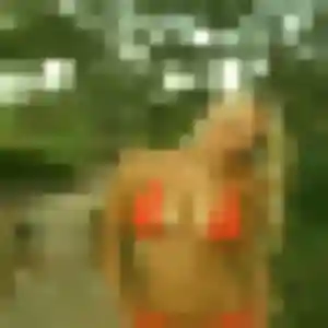 Yael, 39 ans, cherche un plan cul à Bailleval