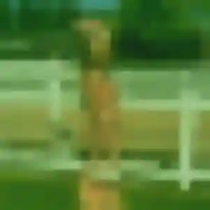 Marie-France, 27 ans, disponible à Barembach pour une rencontre coquine