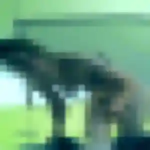 Photo de Germaine à Basse-Pointe (34 ans) - plan cul gratuit
