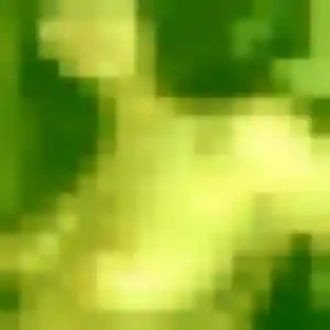 Photo de Alienor à Bassillac et Auberoche (39 ans) - plan cul anonyme