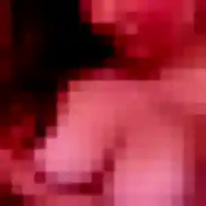 Photo perso de Erika, 38 ans à Batilly - rencontre coquine