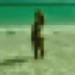 Profil de Amel à Beaucé (32 ans) - plan cul sans inscription