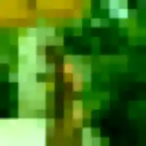 Contacte Zelda, 42 ans à Beine-Nauroy en t'inscrivant
