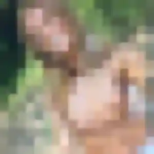 Photo de Kim à Bélus (38 ans) - plan cul anonyme