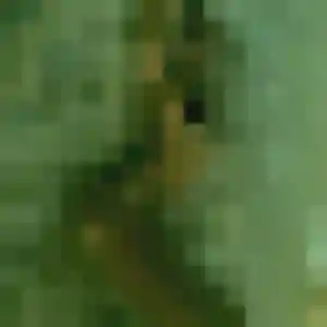 Rencontre Helena, 30 ans à Bénaménil en privé