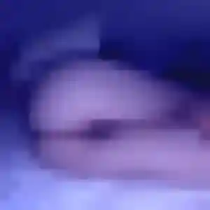 Samira, femme de 33 ans cherche plan cul à Bénouville