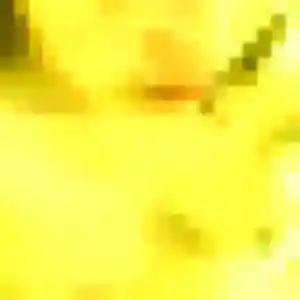 Sexy Estee, 42 ans à Berthen - la contacter