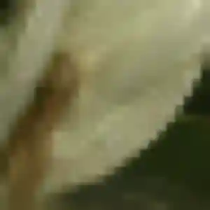 Photo de Tessa à Biard (32 ans) - plan cul gratuit