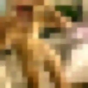 Pierrette (43 ans) à Bidache cherche une rencontre ce soir
