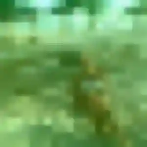 Profil de Iris à Bidarray (32 ans) - plan cul gratuit