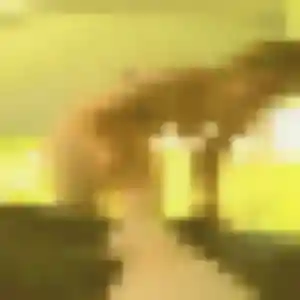 Sexy Lucienne, 28 ans à Blancafort - voir sa photo