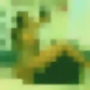 Valentine, 27 ans, en ligne à Boisset pour une rencontre coquine