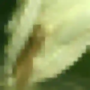 Caroline, 23 ans, disponible à Bonne pour une rencontre coquine