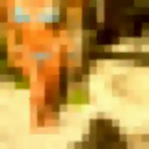 Fatima (45 ans) à Bonson cherche une rencontre rapidement