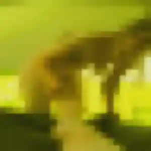 Gladys, 43 ans, connectée à Bouafle pour une rencontre coquine