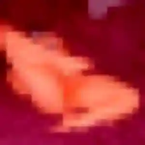 Photo exclusive de Odette, 31 ans à Bouillac - rencontre coquine