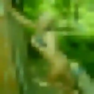 Anastasia (40 ans) à Bours attend un plan cul ce soir