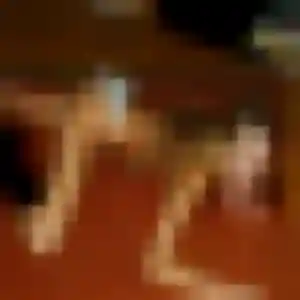 Découvre Sylvie, 43 ans à Bouzy-la-Forêt gratuitement