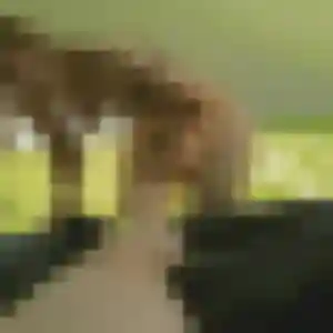 Ingrid, fille de 27 ans veut plan cul à Bretteville