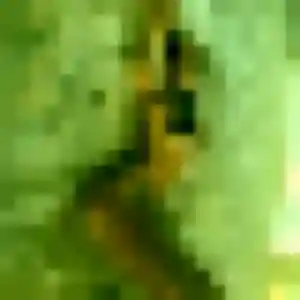 Photo perso de Jihane, 24 ans à Bretteville - rencontre coquine