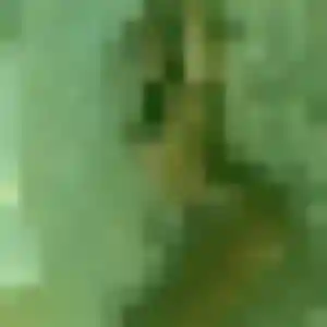 Photo de Pierrette à Briatexte (26 ans) - plan cul sans inscription