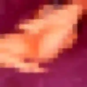 Adelaide, 44 ans, disponible à Bricquebec-en-Cotentin pour une rencontre coquine