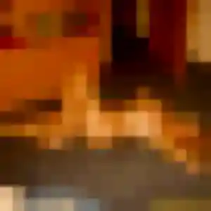 Oriane, fille de 38 ans cherche plan cul à Brinon-sur-Sauldre