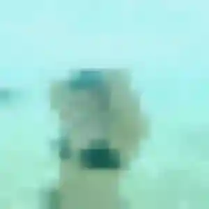 Profil de Whitney à Briscous (27 ans) - plan cul anonyme