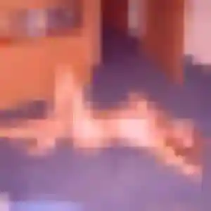 Hajar, 25 ans, disponible à Bully pour une rencontre coquine