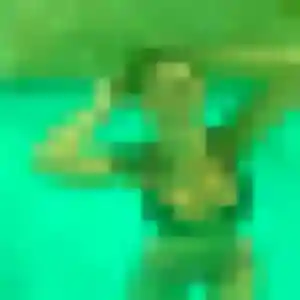 Photo perso de Ophelie, 41 ans à Cambron - rencontre coquine