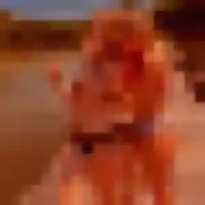 Rejoins Romina, 22 ans à Caouënnec-Lanvézéac en privé